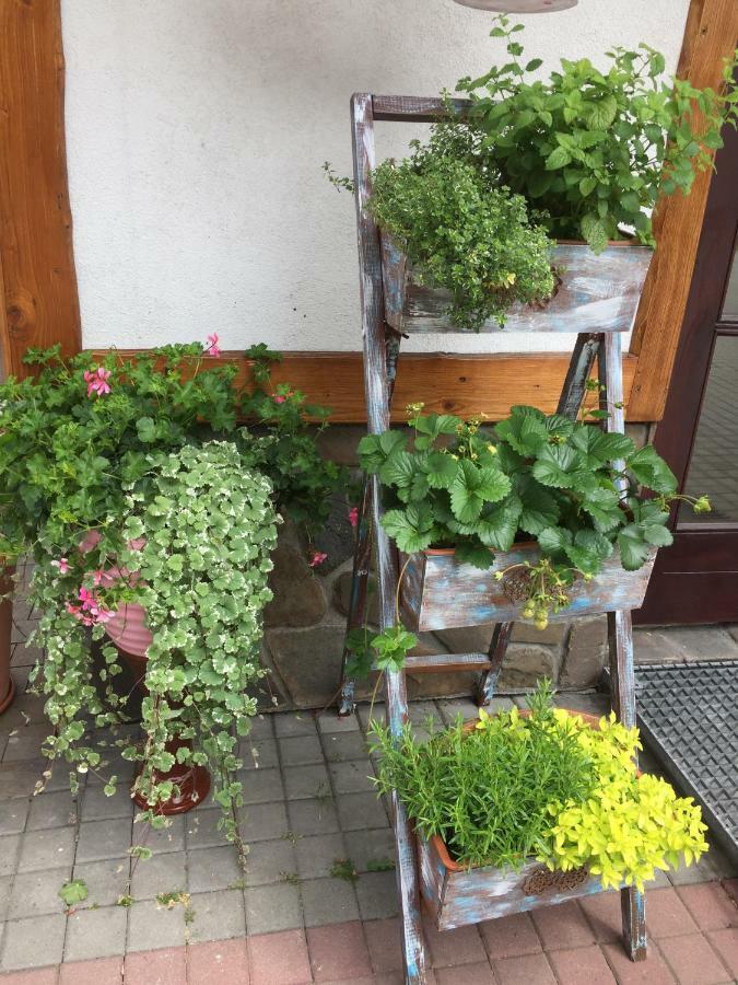 Dom Rodziny Sojkow Bed & Breakfast Bialka Tatrzanska Luaran gambar